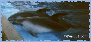 Catalina (back) and her mother at Sea World Texas in 1996